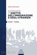 Image of DIZIONARIO DEL DIRITTO DELL'IMMIGRAZIONE E DEGLI STRANIERI