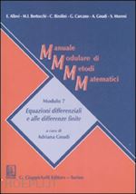 Image of MANUALE MODULARE DI METODI MATEMATICI 7