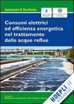 campanelli massimiliano; foladori paola; vaccari mentore - consumi elettrici ed efficienza energetica nel trattamento delle acque reflue