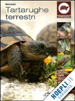 avanzi marta - tartarughe terrestri