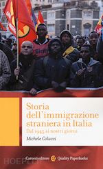 Image of STORIA DELL'IMMIGRAZIONE STRANIERA IN ITALIA