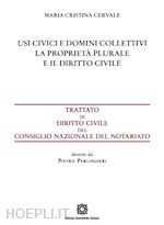 Image of USI CIVICI E DOMINI COLLETTIVI - LA PROPRIETA' PLURALE E IL DIRITTO CIVILE