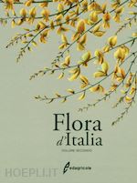 Image of FLORA D'ITALIA, VOLUME SECONDO