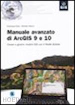 riolo f; vittorio m. - manuale avanzato di arcgis 9 e 10