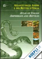 bernini f. (curatore) - atlante degli anfibi e dei rettili d'italia-atlas of italian amphibians and rept