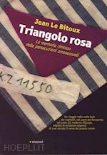 Image of TRIANGOLO ROSA