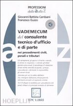 Image of VADEMECUM DEL CONSULENTE TECNICO D'UFFICIO E DI PARTE