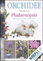 pozzi giancarlo - orchidee: phalenopsys