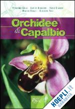  - orchidee di capalbio