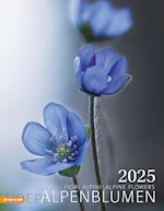  - alpenblumen. kalender 2025
