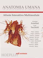 Image of ANATOMIA UMANA - ATLANTE COFANETTO 3 VOLUMI & ATLANTE INTERATTIVO MULTIMEDIALE