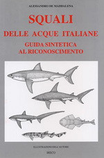 de maddalena alessandro - lo squalo bianco nei mari d'italia