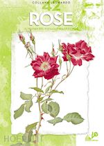 Image of ROSE