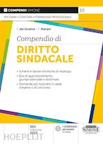 Image of COMPENDIO DI DIRITTO SINDACALE