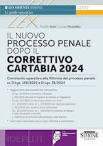 Image of PROCESSO PENALE DOPO IL CORRETTIVO CARTABIA 2024