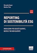 Image of REPORTING DI SOSTENIBILITA' ESG