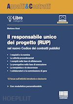 RESPONSABILE UNICO DEL PROGETTO (RUP) NEL NUOVO CODICE DEI CONTRATTI PUBBLICI. C