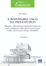 Image of IL RESPONSABILE UNICO DEL PROGETTO (RUP)
