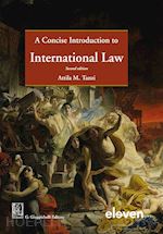 Image of A CONCISE INTRODUCTION TO INTERNATIONAL LAW