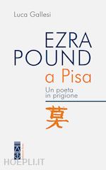 Image of EZRA POUND A PISA