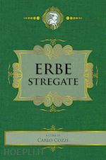 Image of ERBE STREGATE