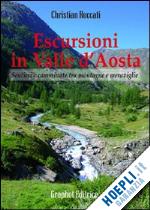 roccati christian - escursioni in valle d'aosta. sentieri e camminate tra montagne e meraviglie