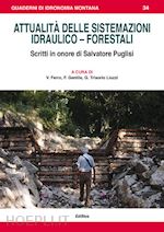 Image of ATTUALITA' DELLE SISTEMAZIONI IDRAULICO-FORESTALI