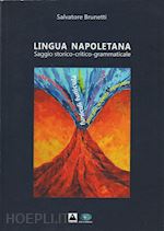 brunetti salvatore - lingua napoletana. saggio storico-critico-grammaticale