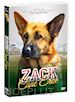 Lynn Roth - Zack Cane Eroe