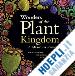 Stuppy W - Wonders of the Plant Kingdom