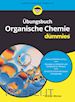 Winter A - Übungsbuch Organische Chemie für Dummies 2e