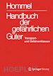 Holzhäuser Jörg (Curatore); Holzhäuser Petra (Curatore) - Handbuch der gefährlichen Güter. Transport- und Gefahrenklassen Neu