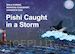 Manisha Chaudhry; Mala Kumar; Sangeeta Das - Pishi Caught in a Storm