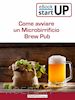 Daniela Montefinale; Maria Luisa Morasso - Come aprire un Microbirrificio Brew Pub