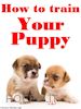 Francisco Ramirez Inge - How To Train Your Puppy