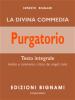 Ernesto Bignami - Divina Commedia - Purgatorio