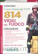 NISSOLINO PATRIZIA (Curatore) - CONCORSI CORPO NAZIONALE VV.FF. - 814 VIGILI DEL FUOCO - COLLOQUIO