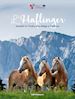 L'Haflinger. Incontri in Tirolo, Alto Adige e Trentino