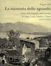 Pini Ruggero - La memoria dello sguardo. Storia della fotografia nelle province di Como, Lecco, Sondrio, Varese (1839-1930). Ediz. illustrata