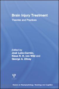 leon-carrion jose; von wild klaus  r. h. ; zitnay george a. - brain injury treatment