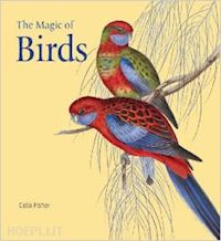 fisher celia - the magic of birds