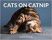 marttila andrew - cats on catnip