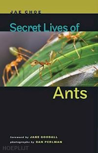 choe jae; goodall jane; perlman dan - secret lives of ants