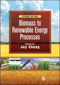 cheng jay (curatore) - biomass to renewable energy processes