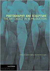 hamill sarah; luke megan r. - photography and sculpture – the art object in reproduction