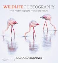 bernabe richard - wildlife photography