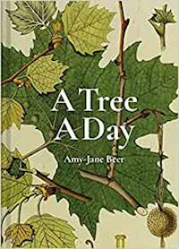 beer amy-jane - a tree a day