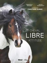 slawik christiane - cheval libre attitude
