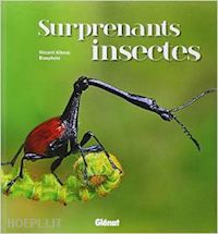 albouy vincent - surprenants insectes