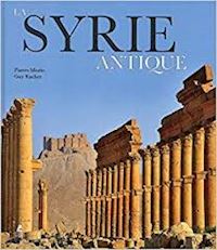 morio pierre; rachet guy - la syrie antique